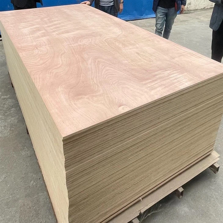 أوكوم   الخشب الرقائقي   لوح